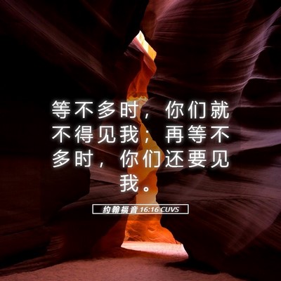 Picture 05 - 约 翰 福 音 16:16 CUVS - 等 不 多 时 ， 你 们 就 不 得 见 我 - Bible Verse Picture
