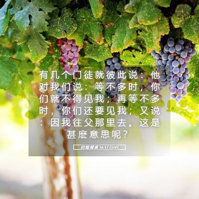 Picture 05 - 约 翰 福 音 16:17 CUVS - 有 几 个 门 徒 就 彼 此 说 ： 他 对 - Bible Verse Picture