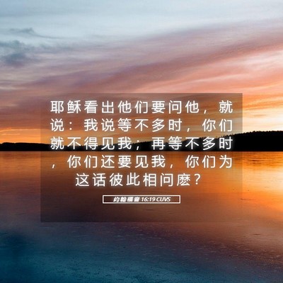 Picture 05 - 约 翰 福 音 16:19 CUVS - 耶 稣 看 出 他 们 要 问 他 ， 就 说 - Bible Verse Picture