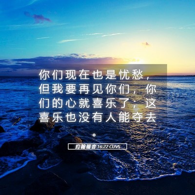 Picture 05 - 约 翰 福 音 16:22 CUVS - 你 们 现 在 也 是 忧 愁 ， 但 我 要 - Bible Verse Picture