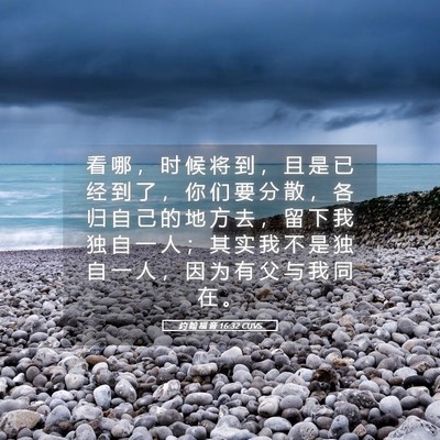 Picture 05 - 约 翰 福 音 16:32 CUVS - 看 哪 ， 时 候 将 到 ， 且 是 已 经 - Bible Verse Picture