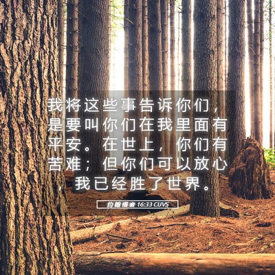 Picture 05 - 约 翰 福 音 16:33 CUVS - 我 将 这 些 事 告 诉 你 们 ， 是 要 - Bible Verse Picture