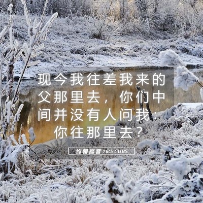 Picture 05 - 约 翰 福 音 16:5 CUVS - 现 今 我 往 差 我 来 的 父 那 里 去 - Bible Verse Picture