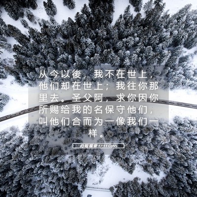 Picture 05 - 约 翰 福 音 17:11 CUVS - 从 今 以 後 ， 我 不 在 世 上 ， 他 - Bible Verse Picture