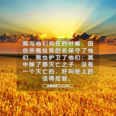 Picture 05 - 约 翰 福 音 17:12 CUVS - 我 与 他 们 同 在 的 时 候 ， 因 你 - Bible Verse Picture