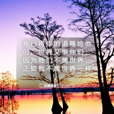 Picture 05 - 约 翰 福 音 17:14 CUVS - 我 已 将 你 的 道 赐 给 他 们 。 世 - Bible Verse Picture
