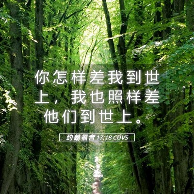 Picture 05 - 约 翰 福 音 17:18 CUVS - 你 怎 样 差 我 到 世 上 ， 我 也 照 - Bible Verse Picture