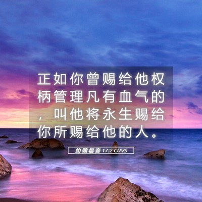 Picture 05 - 约 翰 福 音 17:2 CUVS - 正 如 你 曾 赐 给 他 权 柄 管 理 凡 - Bible Verse Picture