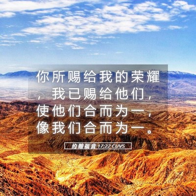 Picture 05 - 约 翰 福 音 17:22 CUVS - 你 所 赐 给 我 的 荣 耀 ， 我 已 赐 - Bible Verse Picture