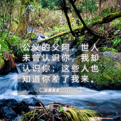 Picture 05 - 约 翰 福 音 17:25 CUVS - 公 义 的 父 阿 ， 世 人 未 曾 认 识 - Bible Verse Picture