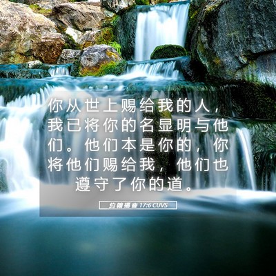Picture 05 - 约 翰 福 音 17:6 CUVS - 你 从 世 上 赐 给 我 的 人 ， 我 已 - Bible Verse Picture