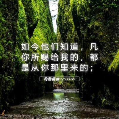 Picture 05 - 约 翰 福 音 17:7 CUVS - 如 今 他 们 知 道 ， 凡 你 所 赐 给 - Bible Verse Picture