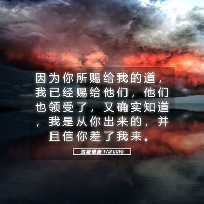 Picture 05 - 约 翰 福 音 17:8 CUVS - 因 为 你 所 赐 给 我 的 道 ， 我 已 - Bible Verse Picture