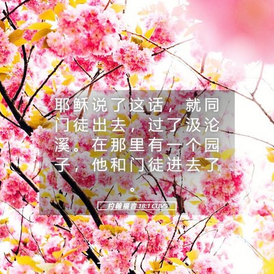 Picture 05 - 约 翰 福 音 18:1 CUVS - 耶 稣 说 了 这 话 ， 就 同 门 徒 出 - Bible Verse Picture