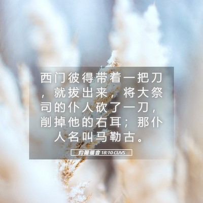 Picture 05 - 约 翰 福 音 18:10 CUVS - 西 门 彼 得 带 着 一 把 刀 ， 就 拔 - Bible Verse Picture