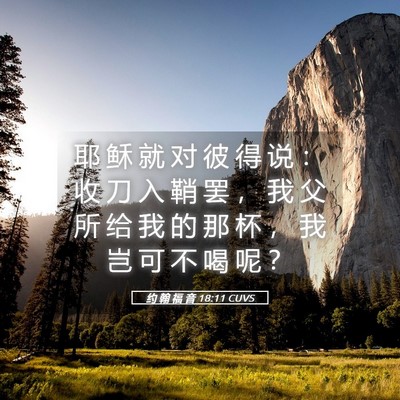 Picture 05 - 约 翰 福 音 18:11 CUVS - 耶 稣 就 对 彼 得 说 ： 收 刀 入 鞘 - Bible Verse Picture