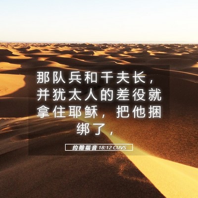 Picture 05 - 约 翰 福 音 18:12 CUVS - 那 队 兵 和 千 夫 长 ， 并 犹 太 人 - Bible Verse Picture