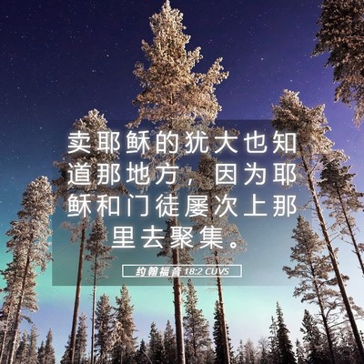 Picture 05 - 约 翰 福 音 18:2 CUVS - 卖 耶 稣 的 犹 大 也 知 道 那 地 方 - Bible Verse Picture