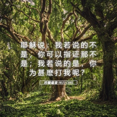Picture 05 - 约 翰 福 音 18:23 CUVS - 耶 稣 说 ： 我 若 说 的 不 是 ， 你 - Bible Verse Picture
