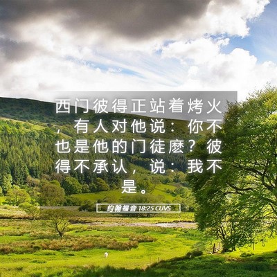 Picture 05 - 约 翰 福 音 18:25 CUVS - 西 门 彼 得 正 站 着 烤 火 ， 有 人 - Bible Verse Picture