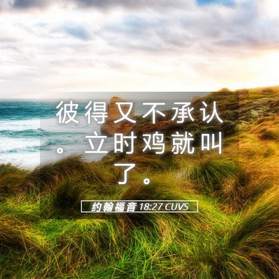 Picture 05 - 约 翰 福 音 18:27 CUVS - 彼 得 又 不 承 认 。 立 时 鸡 就 叫 - Bible Verse Picture