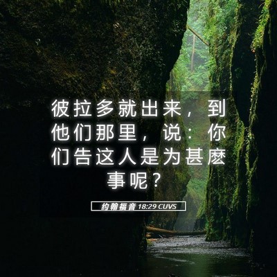 Picture 05 - 约 翰 福 音 18:29 CUVS - 彼 拉 多 就 出 来 ， 到 他 们 那 里 - Bible Verse Picture
