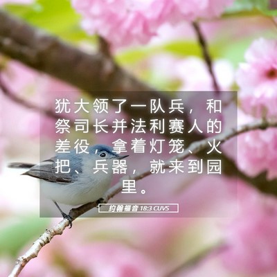 Picture 05 - 约 翰 福 音 18:3 CUVS - 犹 大 领 了 一 队 兵 ， 和 祭 司 长 - Bible Verse Picture