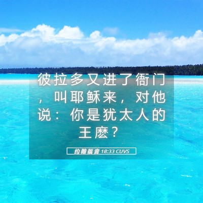 Picture 05 - 约 翰 福 音 18:33 CUVS - 彼 拉 多 又 进 了 衙 门 ， 叫 耶 稣 - Bible Verse Picture