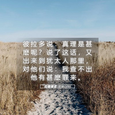 Picture 05 - 约 翰 福 音 18:38 CUVS - 彼 拉 多 说 ： 真 理 是 甚 麽 呢 ？ - Bible Verse Picture