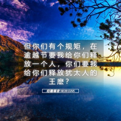 Picture 05 - 约 翰 福 音 18:39 CUVS - 但 你 们 有 个 规 矩 ， 在 逾 越 节 - Bible Verse Picture