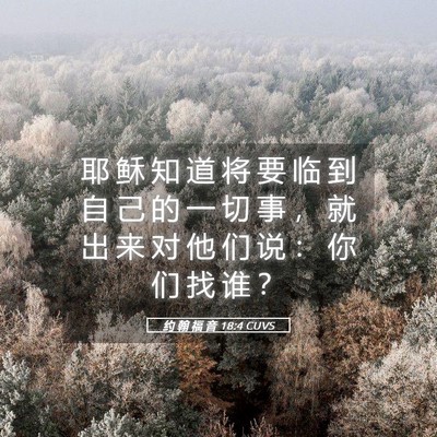Picture 05 - 约 翰 福 音 18:4 CUVS - 耶 稣 知 道 将 要 临 到 自 己 的 一 - Bible Verse Picture