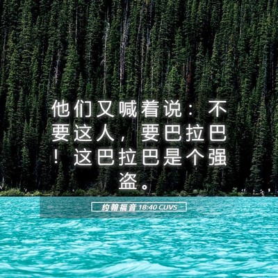 Picture 05 - 约 翰 福 音 18:40 CUVS - 他 们 又 喊 着 说 ： 不 要 这 人 ， - Bible Verse Picture