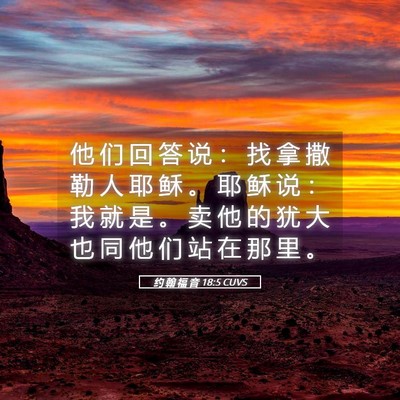 Picture 05 - 约 翰 福 音 18:5 CUVS - 他 们 回 答 说 ： 找 拿 撒 勒 人 耶 - Bible Verse Picture