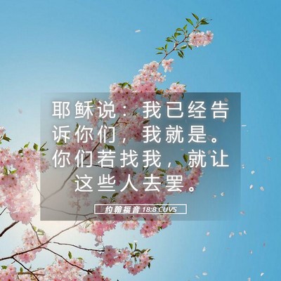 Picture 05 - 约 翰 福 音 18:8 CUVS - 耶 稣 说 ： 我 已 经 告 诉 你 们 ， - Bible Verse Picture