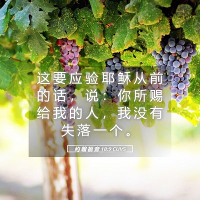 Picture 05 - 约 翰 福 音 18:9 CUVS - 这 要 应 验 耶 稣 从 前 的 话 ， 说 - Bible Verse Picture