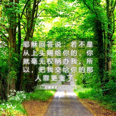 Picture 05 - 约 翰 福 音 19:11 CUVS - 耶 稣 回 答 说 ： 若 不 是 从 上 头 - Bible Verse Picture