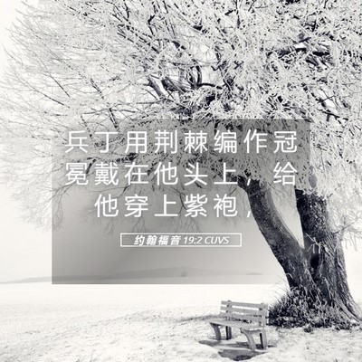 Picture 05 - 约 翰 福 音 19:2 CUVS - 兵 丁 用 荆 棘 编 作 冠 冕 戴 在 他 - Bible Verse Picture