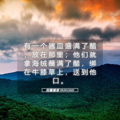 Picture 05 - 约 翰 福 音 19:29 CUVS - 有 一 个 器 皿 盛 满 了 醋 ， 放 在 - Bible Verse Picture