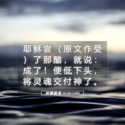 Picture 05 - 约 翰 福 音 19:30 CUVS - 耶 稣 尝 （ 原 文 作 受 ） 了 那 醋 - Bible Verse Picture