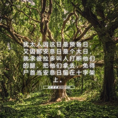 Picture 05 - 约 翰 福 音 19:31 CUVS - 犹 太 人 因 这 日 是 预 备 日 ， 又 - Bible Verse Picture