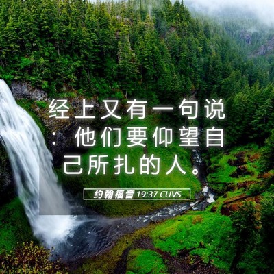 Picture 05 - 约 翰 福 音 19:37 CUVS - 经 上 又 有 一 句 说 ： 他 们 要 仰 - Bible Verse Picture