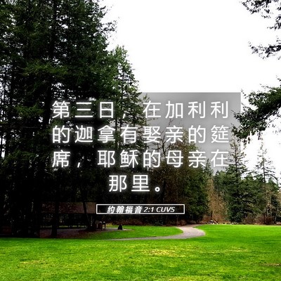 Picture 05 - 约 翰 福 音 2:1 CUVS - 第 三 日 ， 在 加 利 利 的 迦 拿 有 - Bible Verse Picture