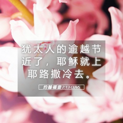 Picture 05 - 约 翰 福 音 2:13 CUVS - 犹 太 人 的 逾 越 节 近 了 ， 耶 稣 - Bible Verse Picture