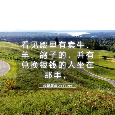Picture 05 - 约 翰 福 音 2:14 CUVS - 看 见 殿 里 有 卖 牛 、 羊 、 鸽 子 - Bible Verse Picture