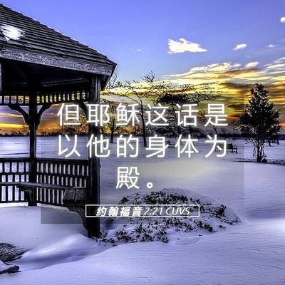 Picture 05 - 约 翰 福 音 2:21 CUVS - 但 耶 稣 这 话 是 以 他 的 身 体 为 - Bible Verse Picture
