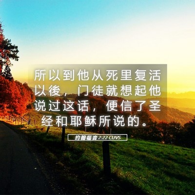 Picture 05 - 约 翰 福 音 2:22 CUVS - 所 以 到 他 从 死 里 复 活 以 後 ， - Bible Verse Picture