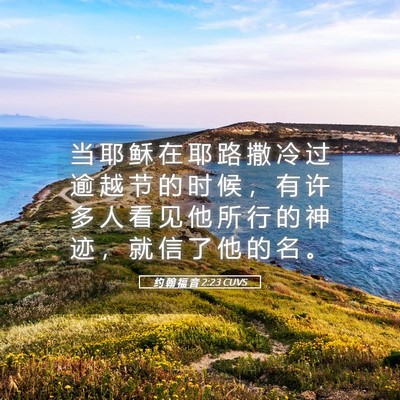 Picture 05 - 约 翰 福 音 2:23 CUVS - 当 耶 稣 在 耶 路 撒 冷 过 逾 越 节 - Bible Verse Picture