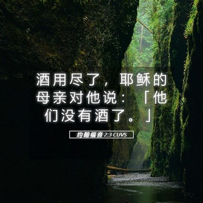 Picture 05 - 约 翰 福 音 2:3 CUVS - 酒 用 尽 了 ， 耶 稣 的 母 亲 对 他 - Bible Verse Picture