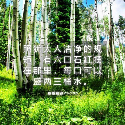 Picture 05 - 约 翰 福 音 2:6 CUVS - 照 犹 太 人 洁 净 的 规 矩 ， 有 六 - Bible Verse Picture