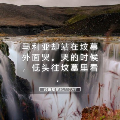 Picture 05 - 约 翰 福 音 20:11 CUVS - 马 利 亚 却 站 在 坟 墓 外 面 哭 。 - Bible Verse Picture